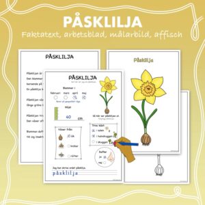 Fakta om vårblommor: Påsklilja