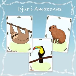 Målarbilder - Djur i Amazonas