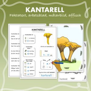 Fakta om svampar: Kantarell