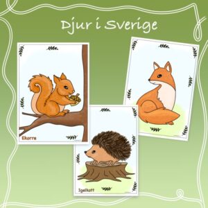 Tre målarbilder med djur ekorre, igelkott och räv. Text på bilden 'djur i Sverige'.