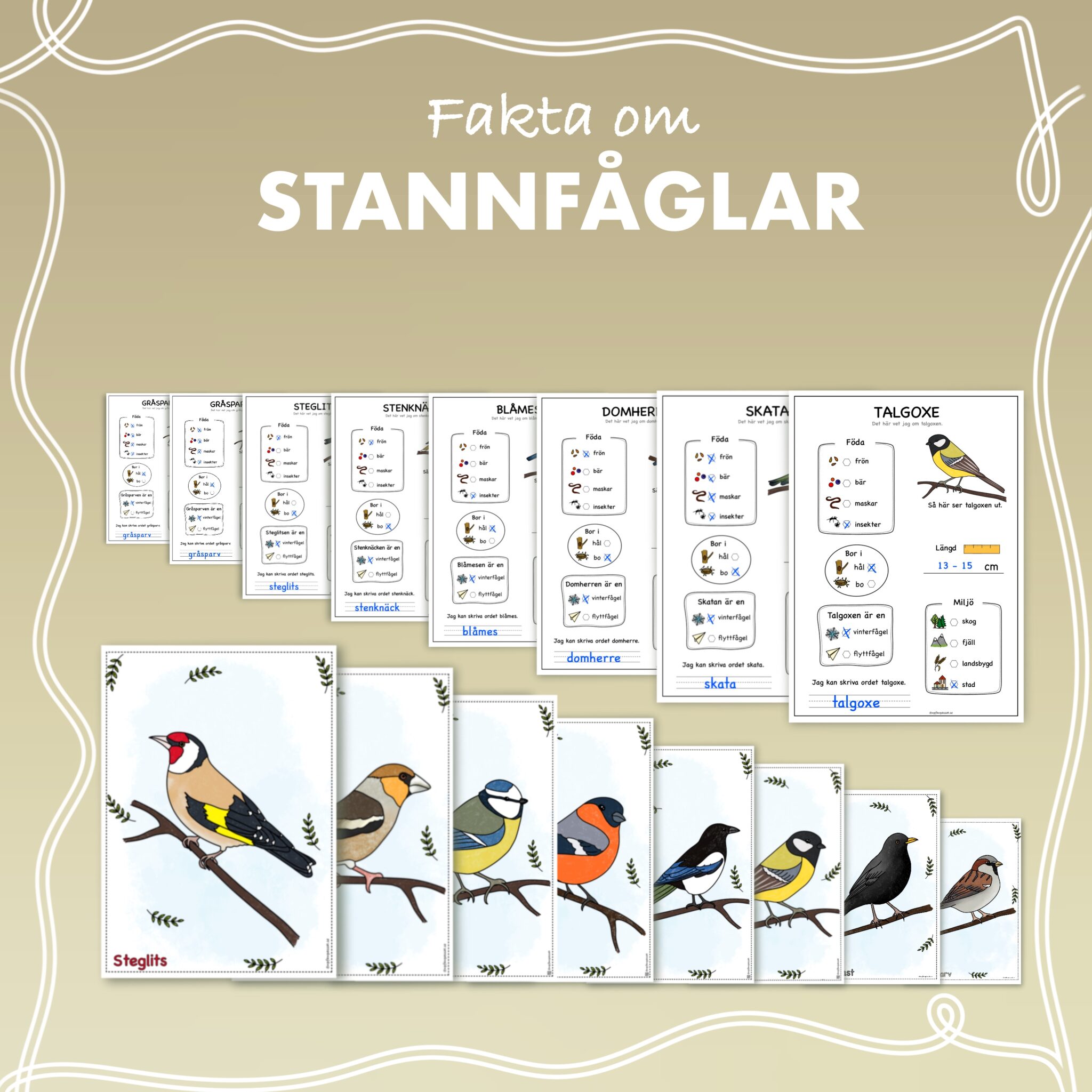 Materialpaket Fakta Om Stannf glar NPF Anpassat Materialpaket Fakta Om Stannf glar NPF Anpassat