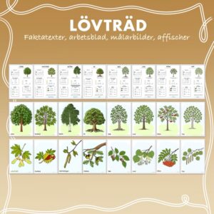 Materialpaket - Fakta om lövträd