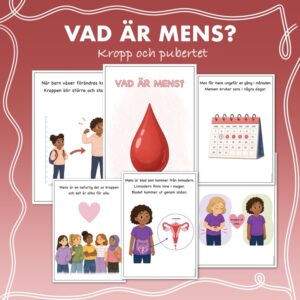 Fakta om kroppen - Vad är mens?