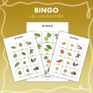 Bingo löv- och barrträd