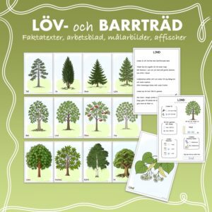 Materialpaket - Fakta om barr- och lövträd
