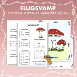 Fakta om svampar: Flugsvamp
