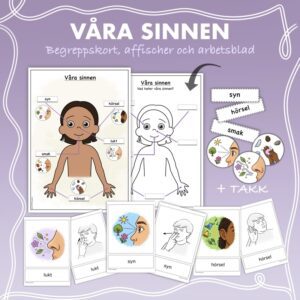 Våra sinnen - Begreppskort, arbetsblad & affisch