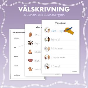 Välskrivning - Sinnen och sinnesorgan